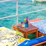 Amphora كاس