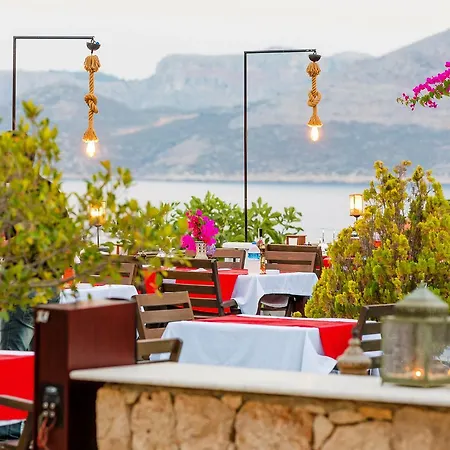 Amphora فندق